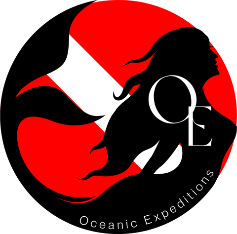 Oceanic Expeditions Belize